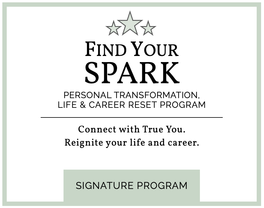 Find Your Spark program